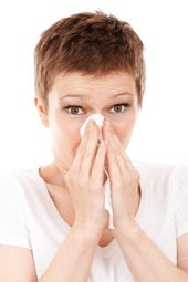 Staubsauger für Allergiker